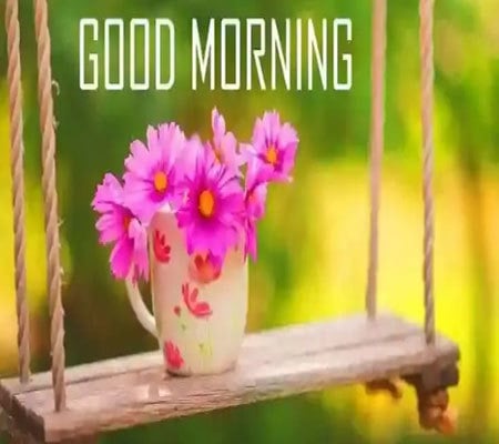 Latest good morning images download