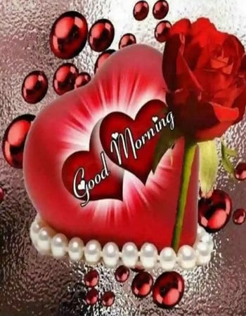 Latest good morning wallpaper download