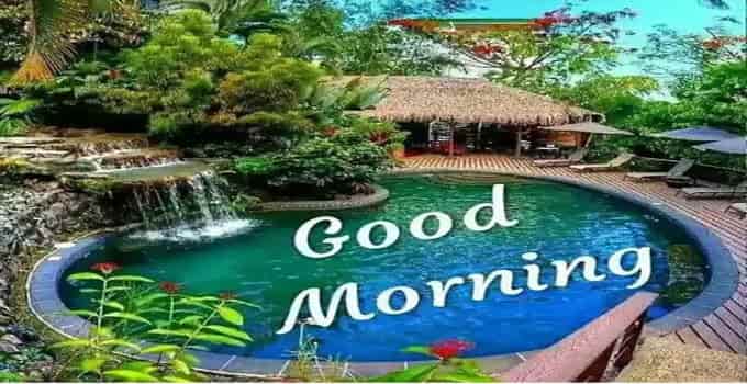 good morning imges for whatsapp