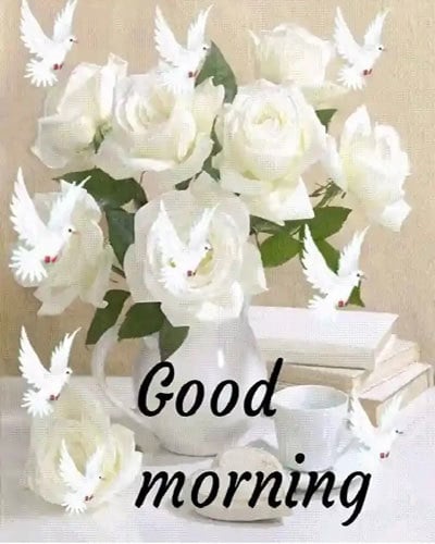 good morning pics download with flowers