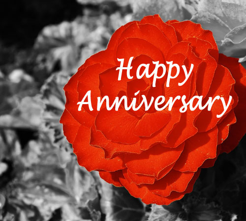 Happy Anniversary Images Download Happy Anniversary Images Download