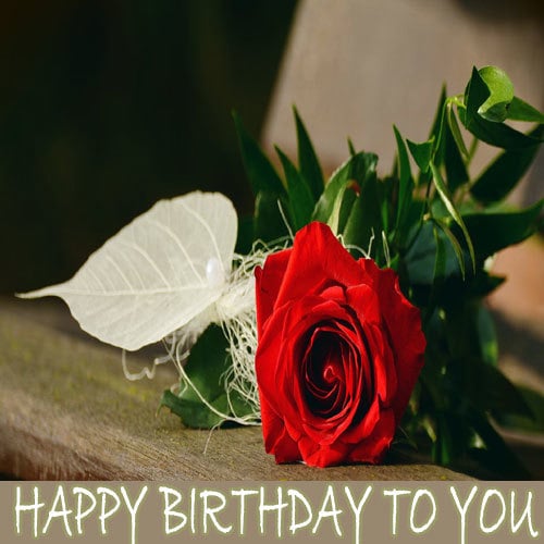 Happy Birthday Love Wishes Images Download