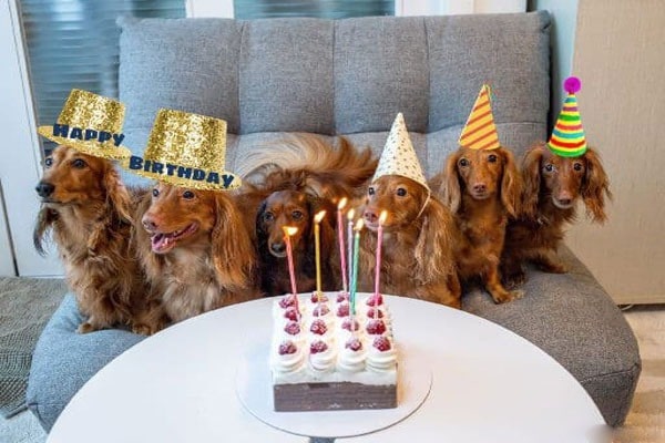 Happy Birthday Wishes Download for Whatsapp Happy Birthday Wishes Download for Whatsapp