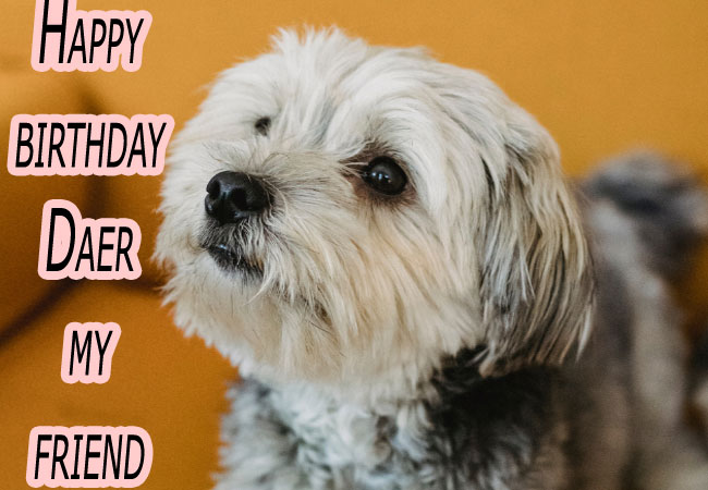 Latest Funny Happy Birthday Wishes Latest Funny Happy Birthday Wishes