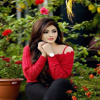 Whatsapp Dp Profile Whatsapp Dp Profile