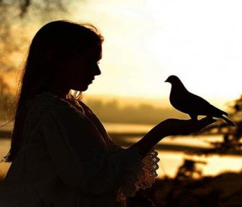 Alone Girl Whatsapp DP Photo Alone Girl Whatsapp DP Photo