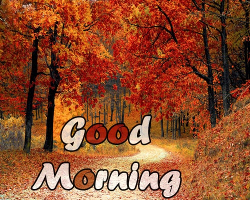 nature good morning images hd 