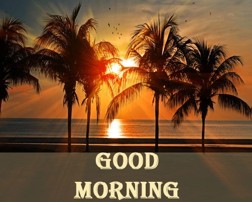 nature good morning images hd 