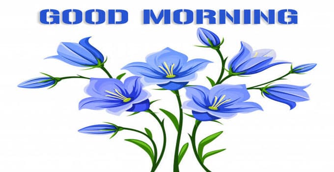 Best 50+ Beautiful Good Morning Images HD Download 2022