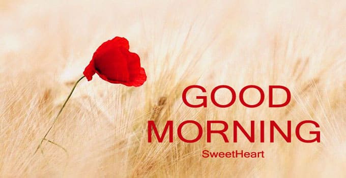 Good Morning Images HD 1080p Download