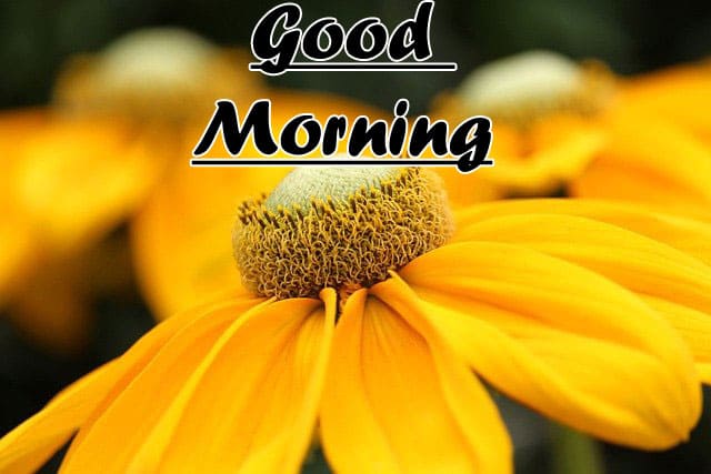 Good Morning Images HD 1080p Download For Facebook