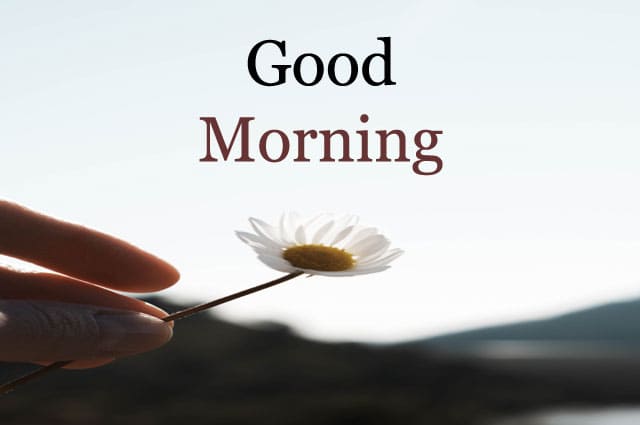 Good Morning Images HD 1080p