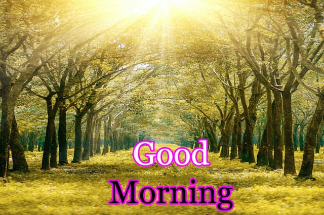 Good Morning Images Hd 1080p Photos