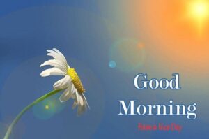 Good Morning Images Hd Download
