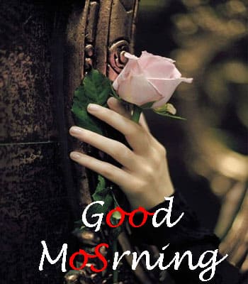 Good Morning Photo Hd