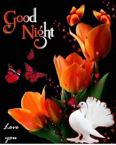 Good Night Love Pictures HD