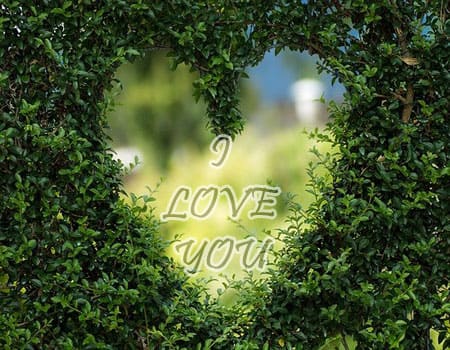 I Love You Pics Download