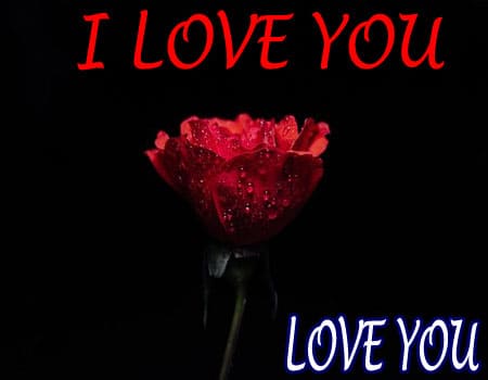 I love you photo pictures Download
