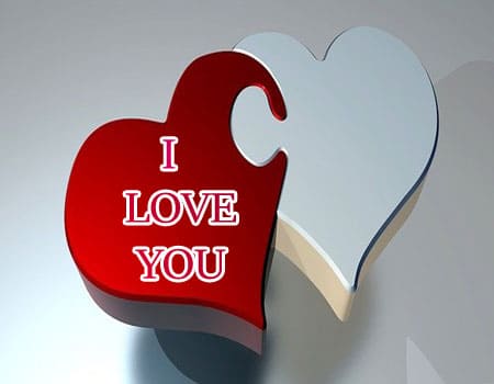 I love you photo wallpaper