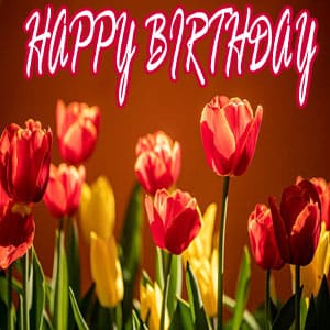 79+Best Happy Birthday Images Download!! - Happy Birthday Images HD