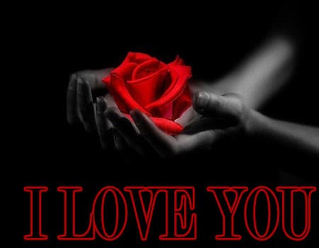 i love you photo pics free download