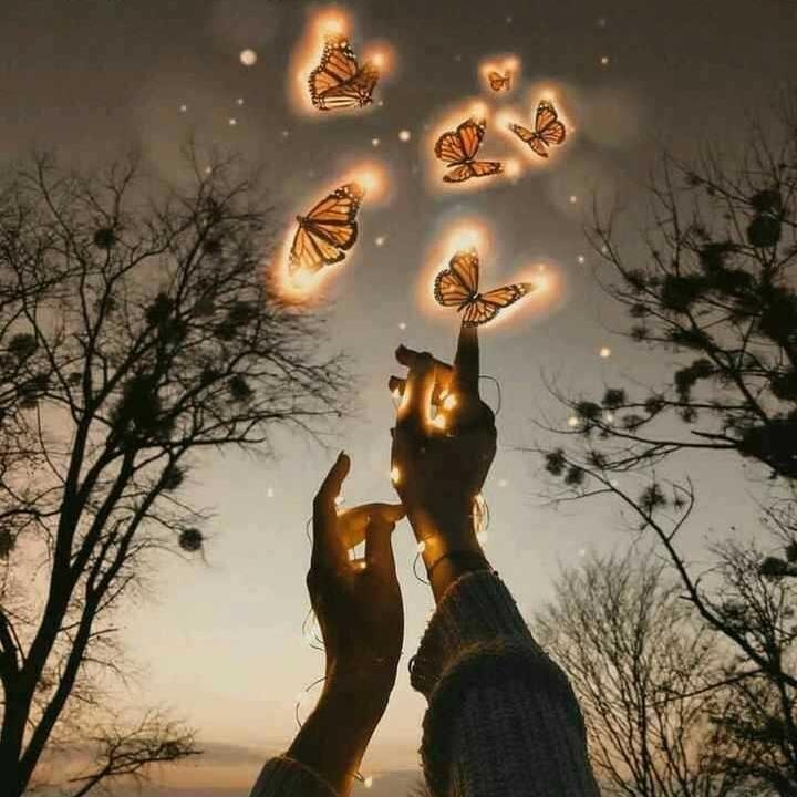 Best WhatsApp DP girls Best WhatsApp DP girls