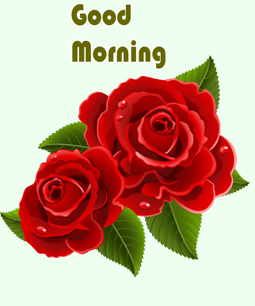 Good Morning Images With Flowers