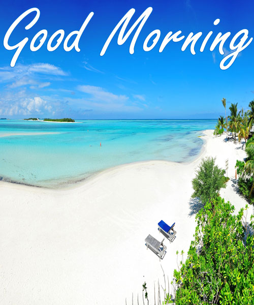 free good morning beach pictures