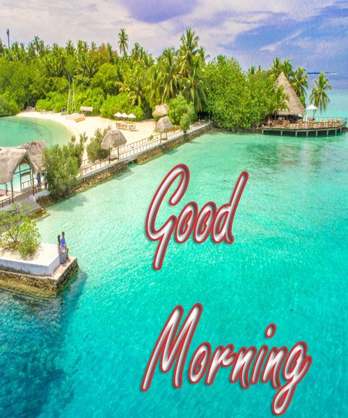 154+ Beach Good Morning Images HD With Sea & Seashore!! - Happy ...