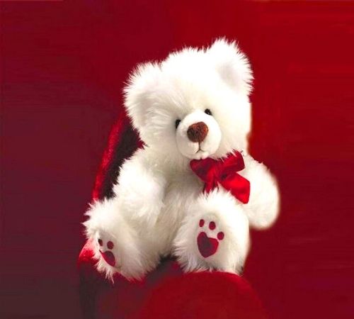 Attractive Whatsapp DP Download Attractive Whatsapp DP Download