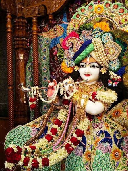 Cute Krishna Images For Whatsapp DP Cute Krishna Images For Whatsapp DP