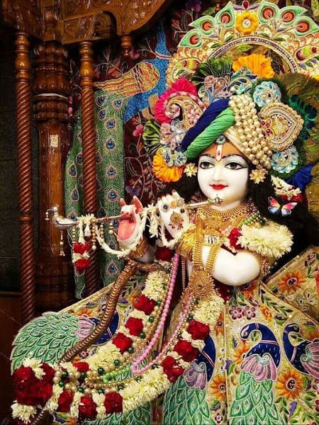 Cute Krishna Images For Whatsapp DP