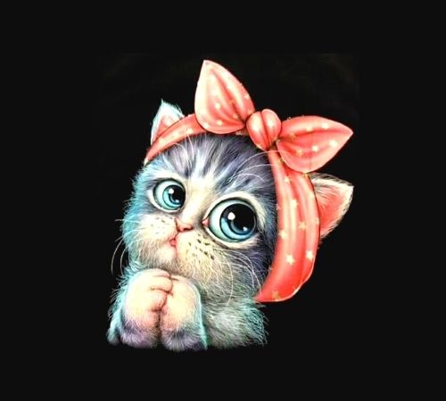 New WhatsApp DP New WhatsApp DP