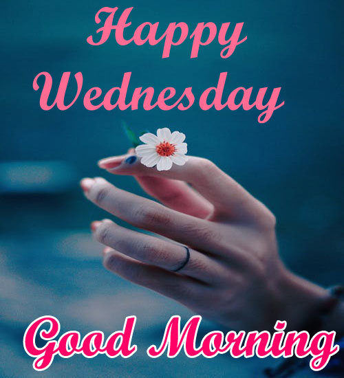 Happy Wednesday Good Morning Images