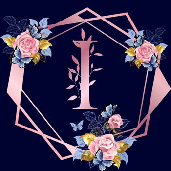 Stylish Letter Whatsapp Dp Stylish Letter Whatsapp Dp