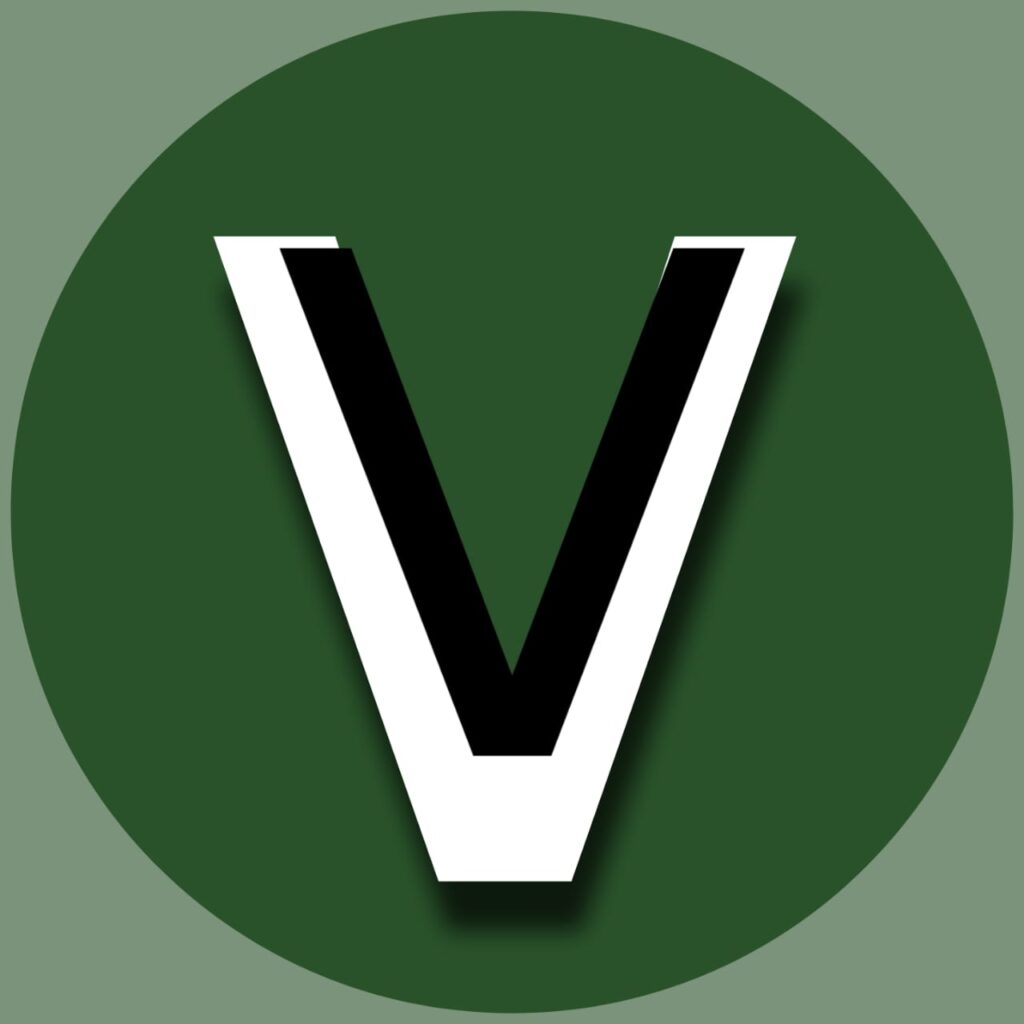 stylish v name dp