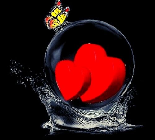 Heart Whatsapp DP Heart Whatsapp DP