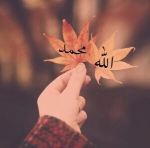 Islamic DP For Whatsapp Islamic DP For Whatsapp
