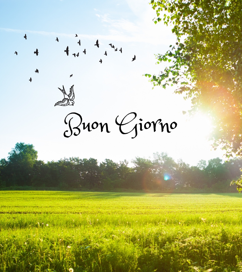 buongiorno immagini nuove buongiorno immagini nuove