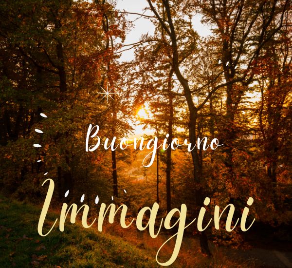 immagini buongiorno