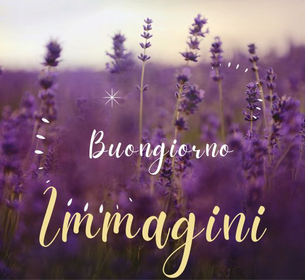 immagini buongiorno immagini buongiorno