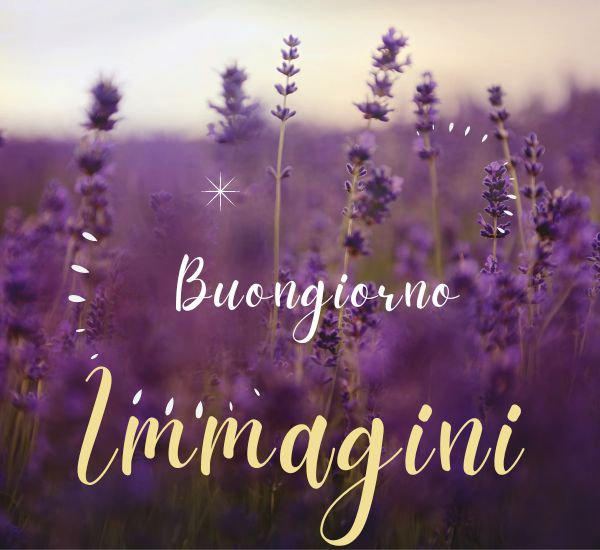 immagini buongiorno