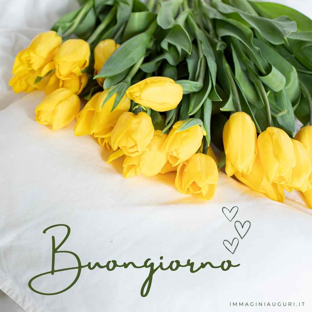 Buongiorno