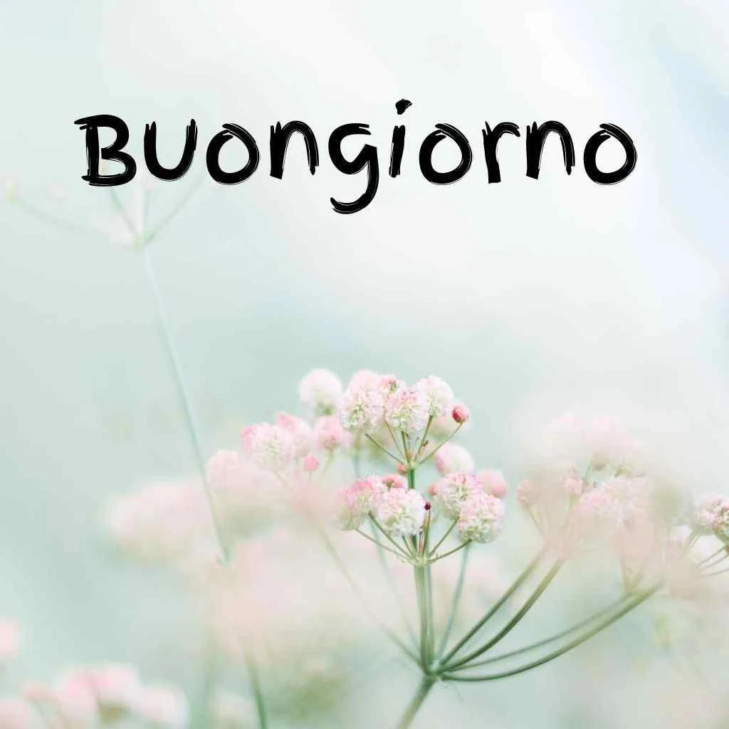 buon martedì buongiorno