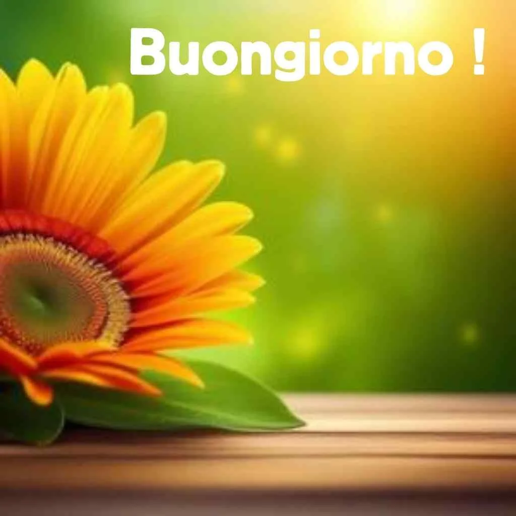 buongiorno autunnale immagini nuove gratis per whatsapp