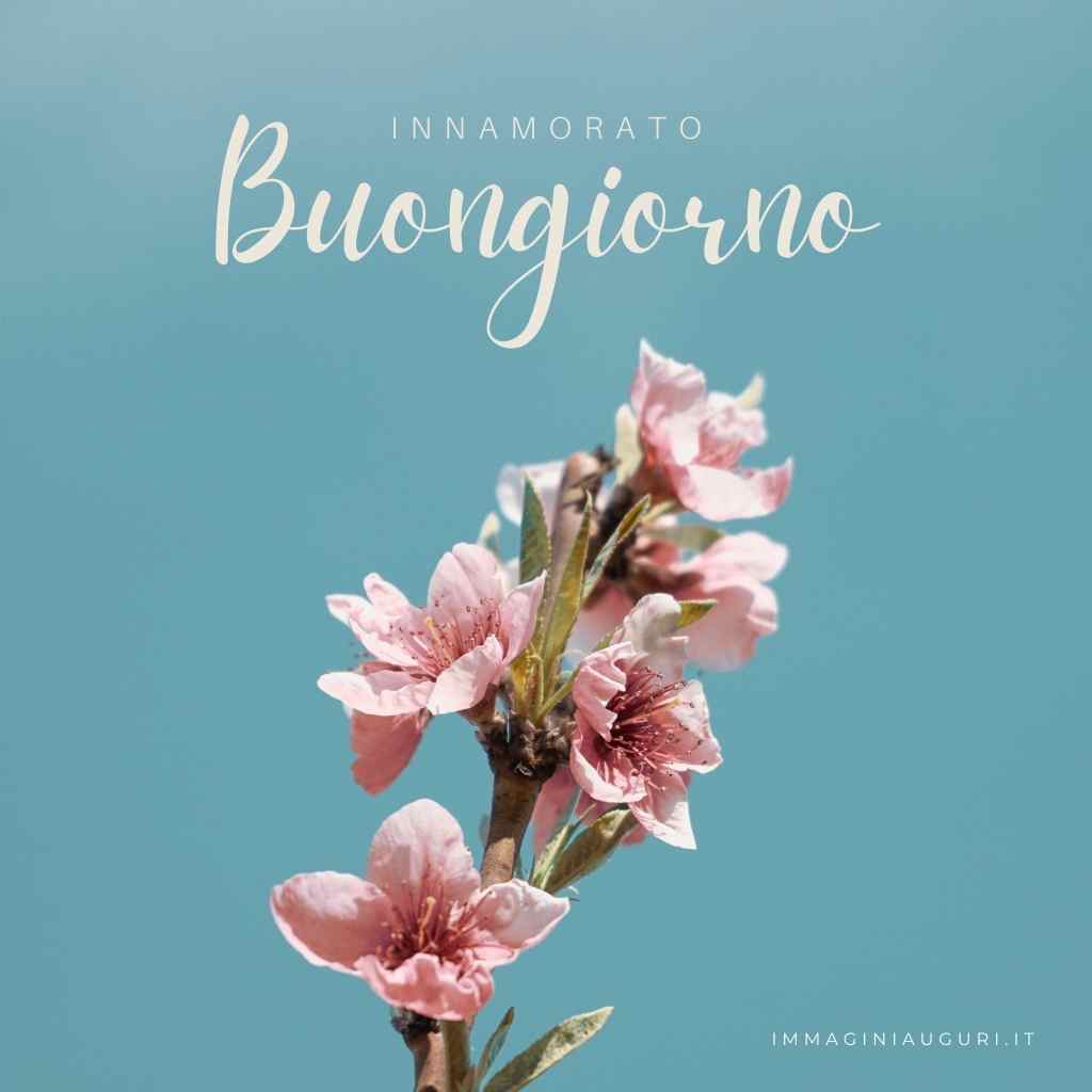 buongiorno autunnale