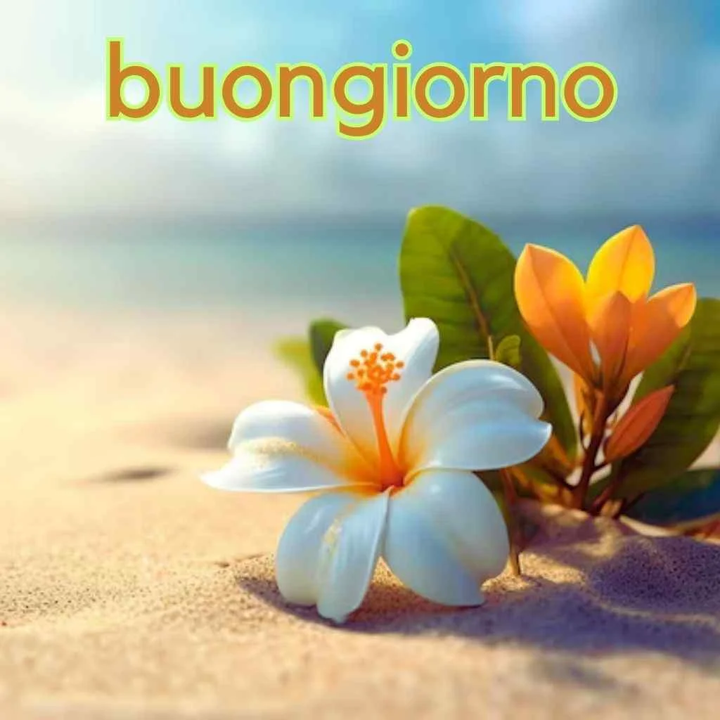 buongiorno buona domenica immagini nuove