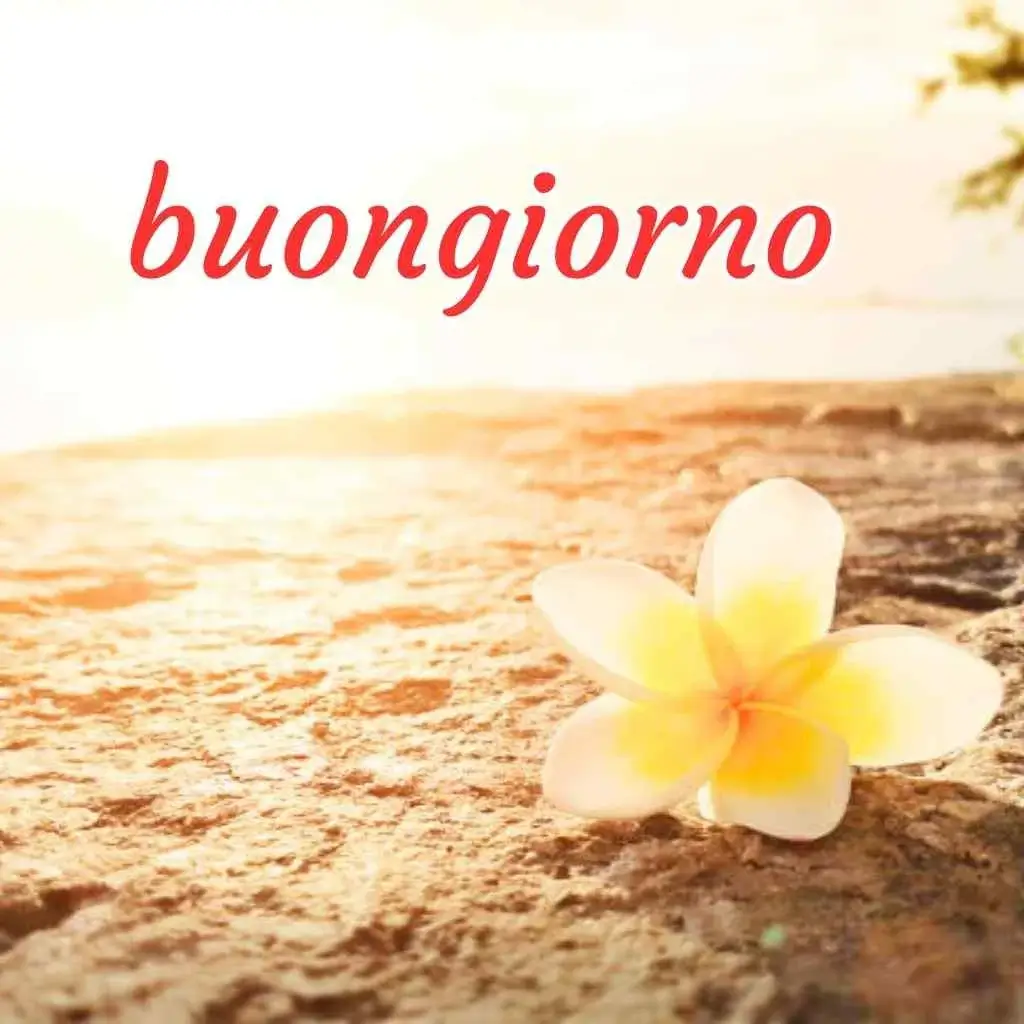 buongiorno divertenti