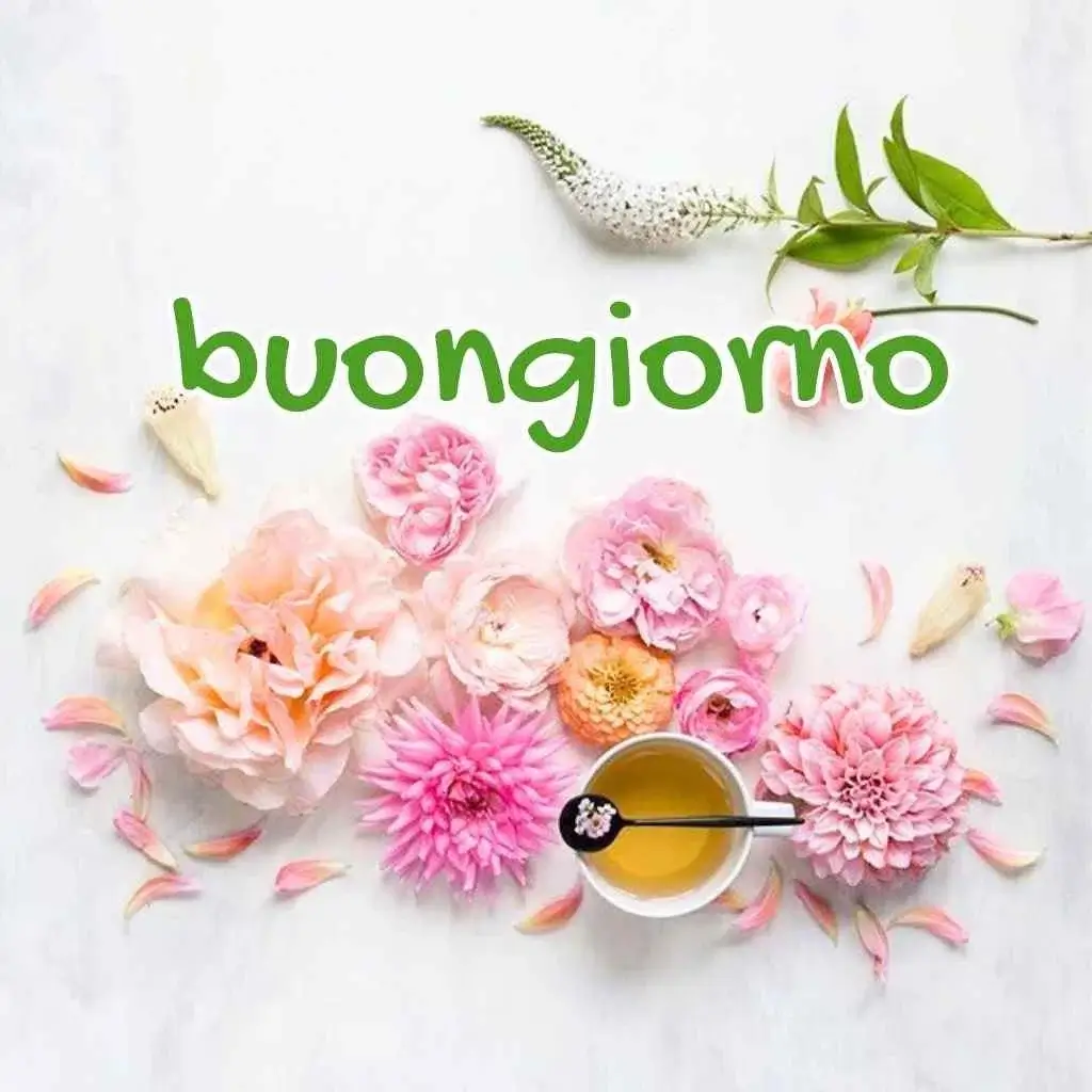 buongiorno e buon mercoledì