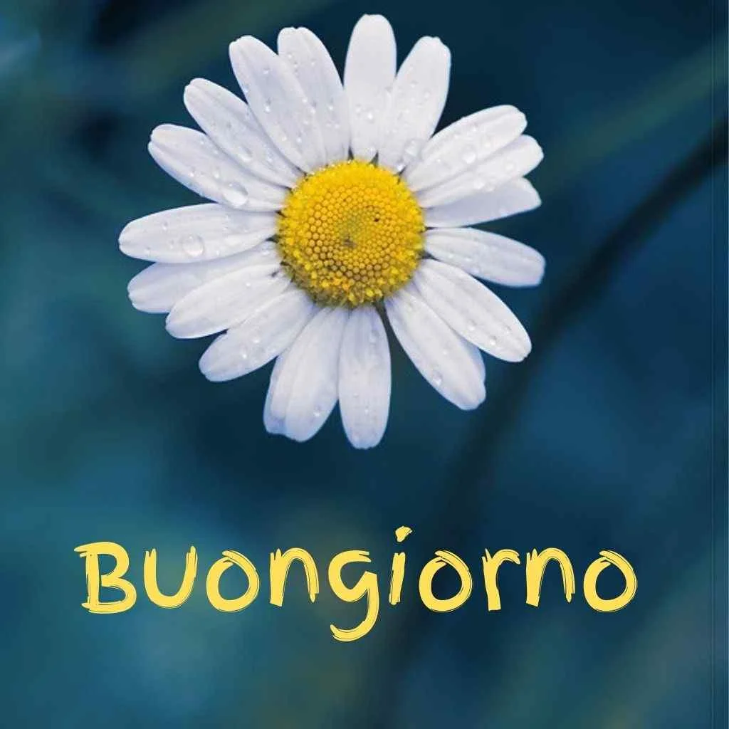 buongiorno immagini inedite da scaricare gratis